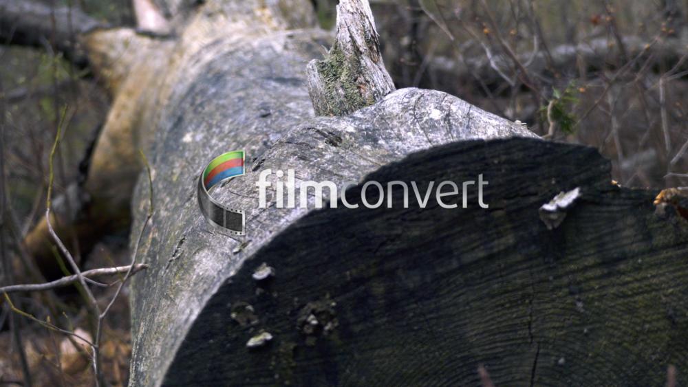 filmconvert workflow filmconvert workflow eoshd eoshd forum filmconvert workflow filmconvert workflow eoshd eoshd forum