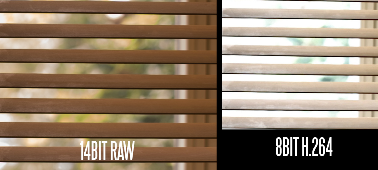 5d-blinds-raw-h264.jpg
