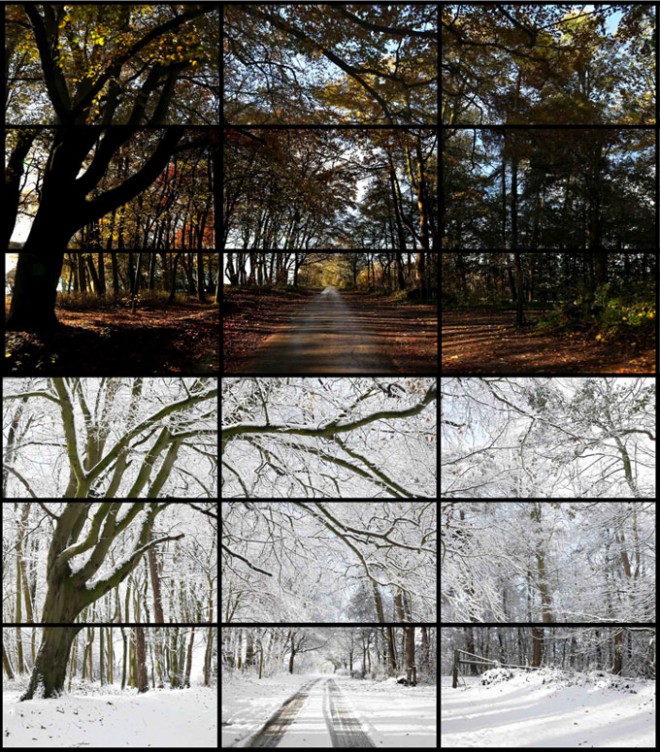 David Hockney 'Woldgate Woods' video installation