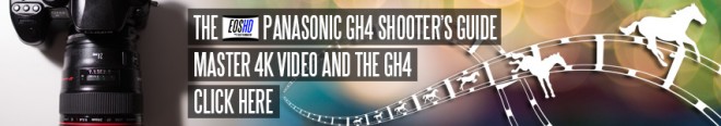 The EOSHD Panasonic GH4 Shooter's Guide
