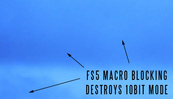 fs5-macro-blocking