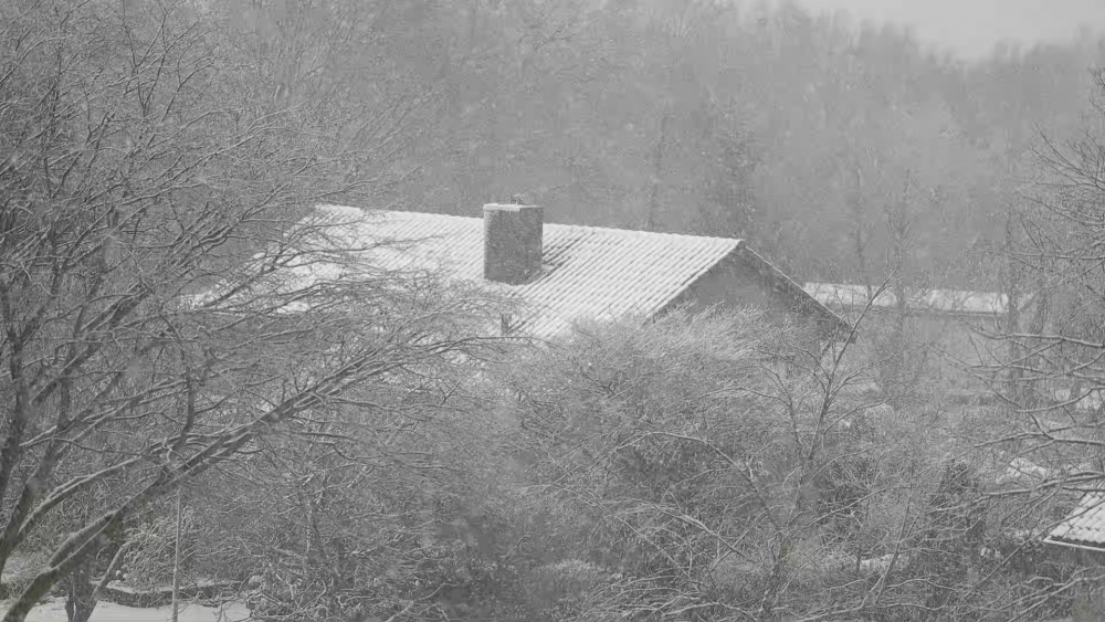 HD 25P HQ 0.25 first.png