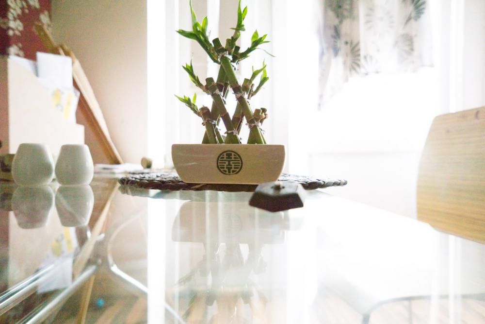 DSC00023.thumb.JPG.6fe56d9dfc60c374de646