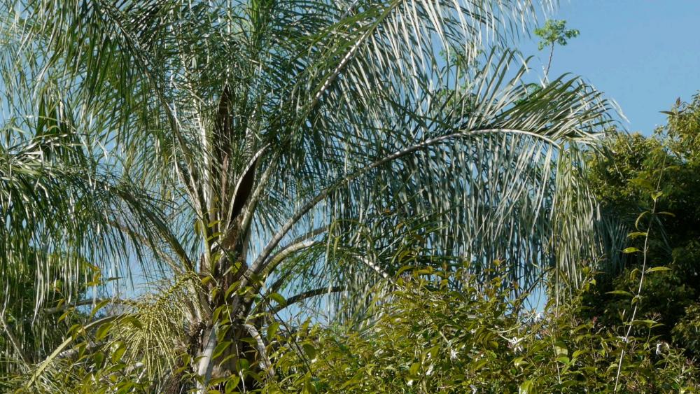 Panasonic2.thumb.jpg.95b850b0dd1cc4509f9