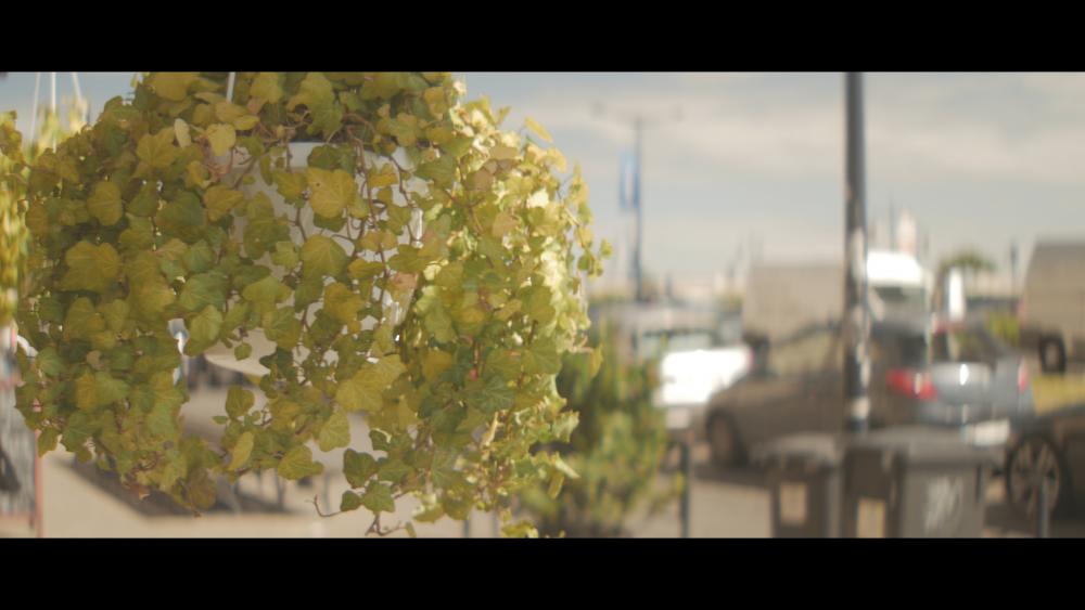 SLR Magic Rangefinder Baby1010.jpg