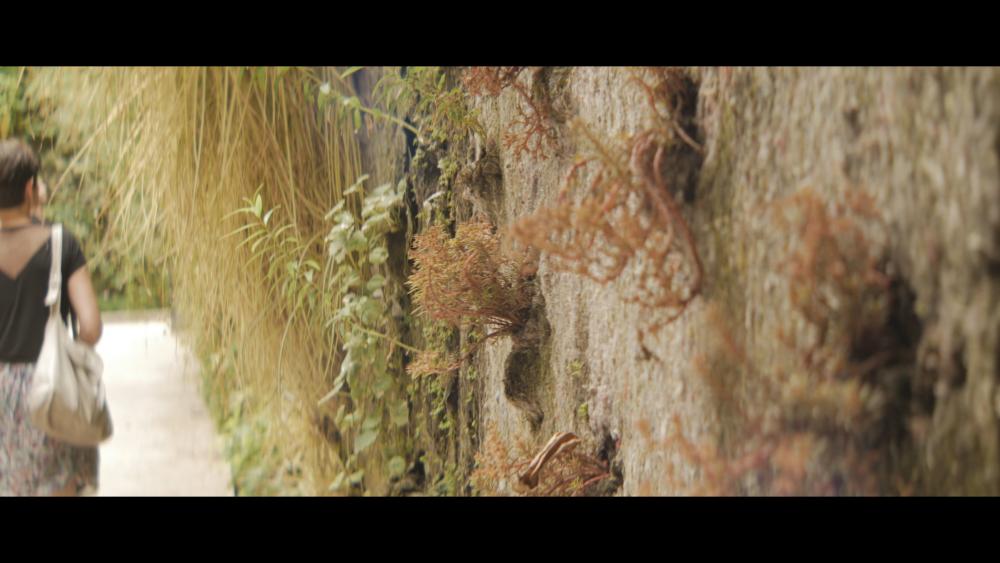 SLR Magic Rangefinder Baby40.jpg