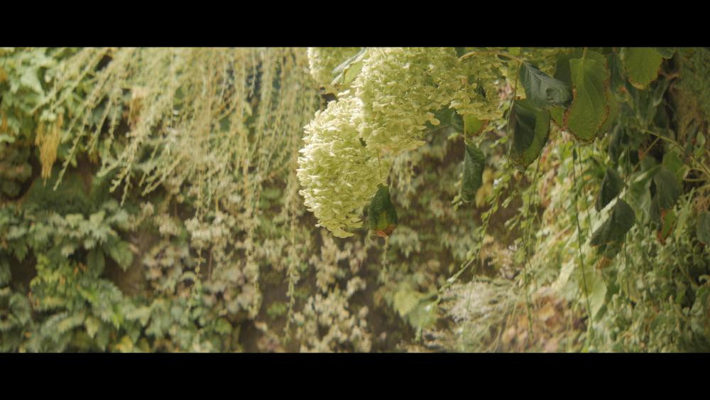 SLR Magic Rangefinder Baby60.jpg