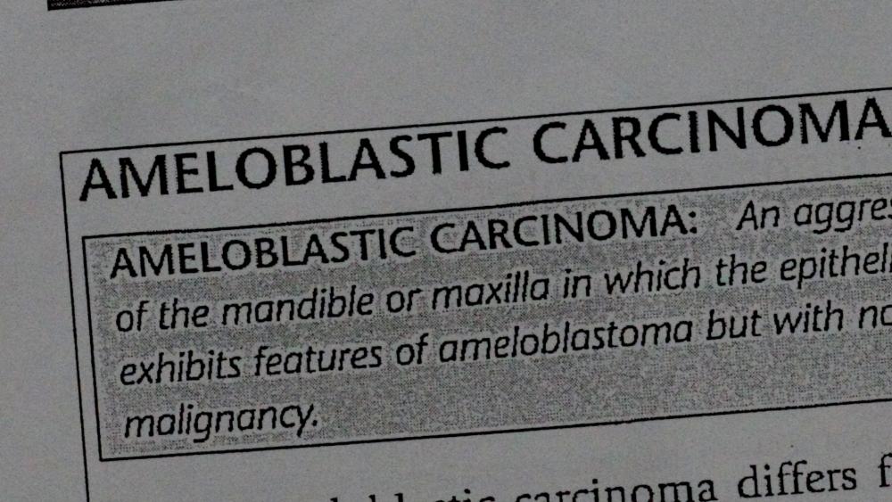 08jxdrr.thumb.jpg.0e04c5501c9eb4250f28c3