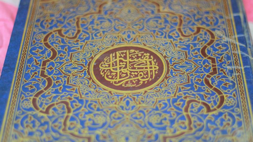 I7bj0AN.thumb.jpg.1dc0949c1aeaaebfd086ab