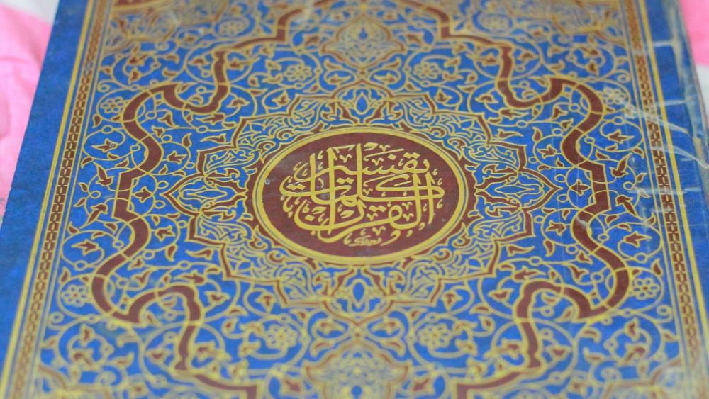 SGPj7oK.thumb.jpg.c78a9474b4ed6610c229a8