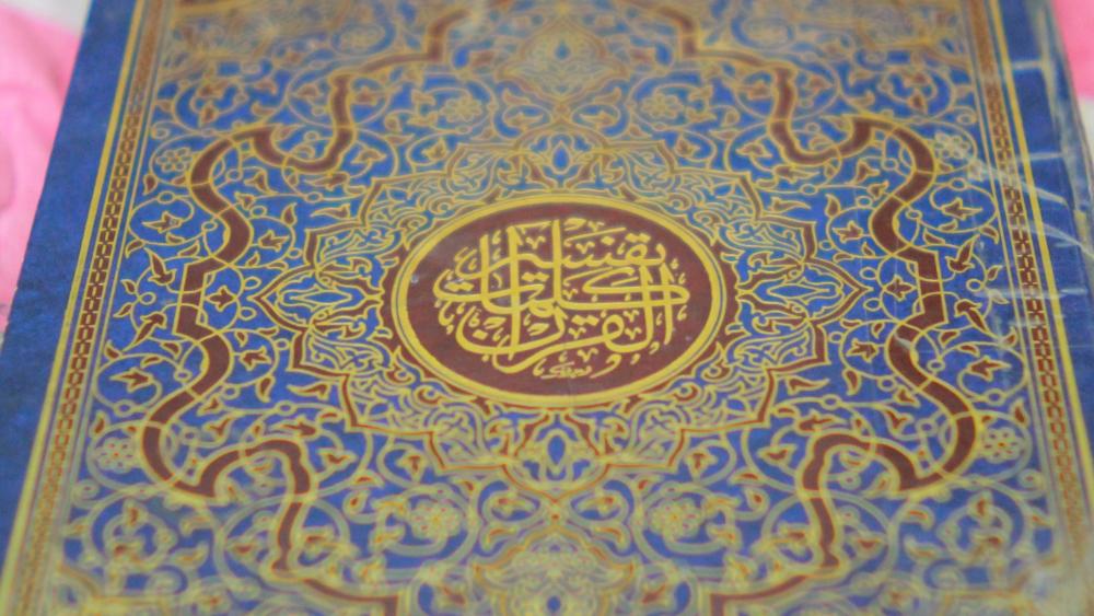 ZDlcuEP.thumb.jpg.00ceef634114df0d2d191b