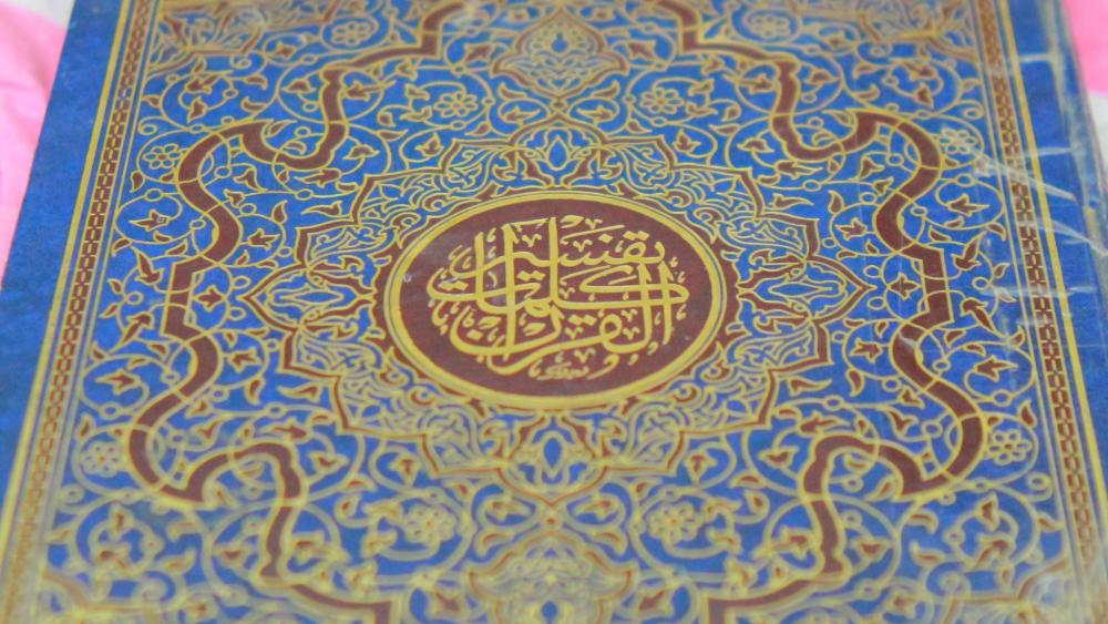 aVavIaU.thumb.jpg.49eab2bcbe4b2117450845