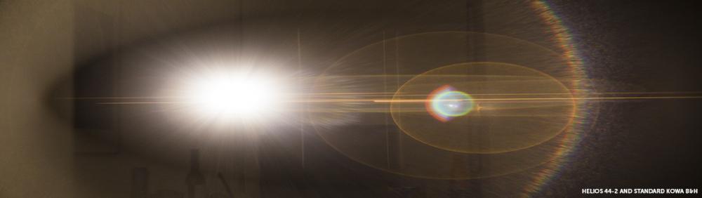 745A2622.thumb.jpg.72093c9741be0f14f9f87