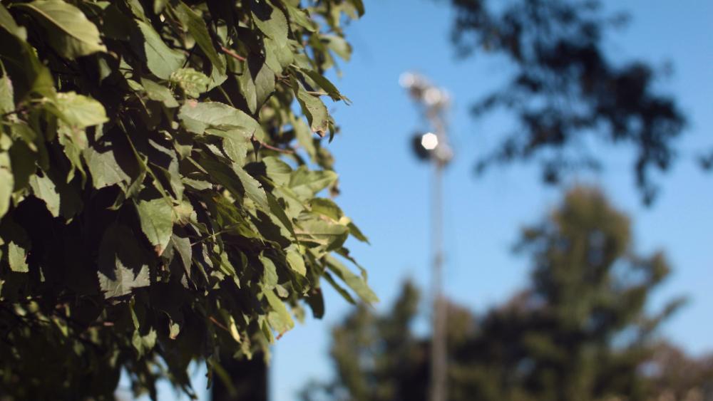 just_tiffen.thumb.jpg.b470197c0df8eda3a3