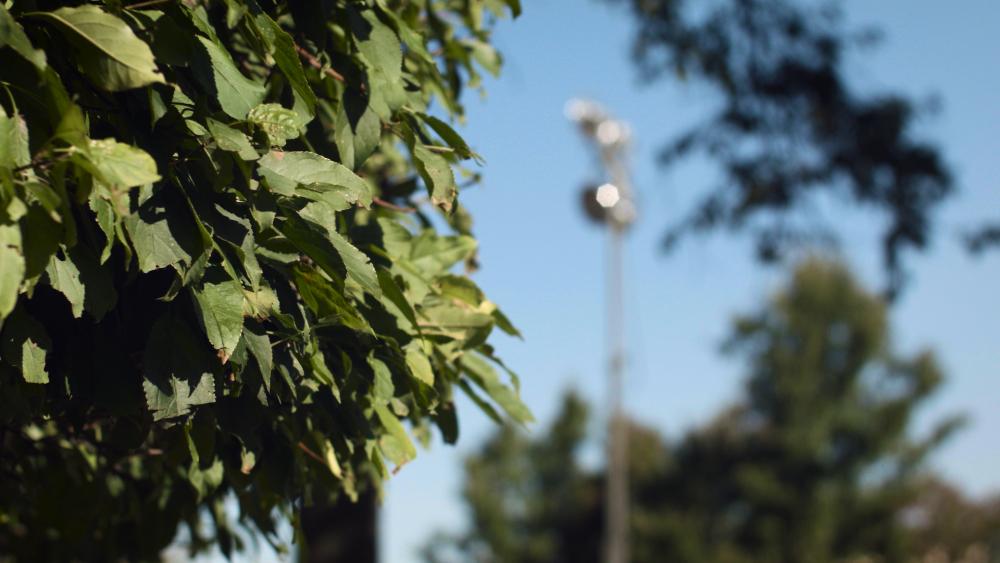 tiffen_stacked_on_hoyaIRcut.thumb.jpg.69