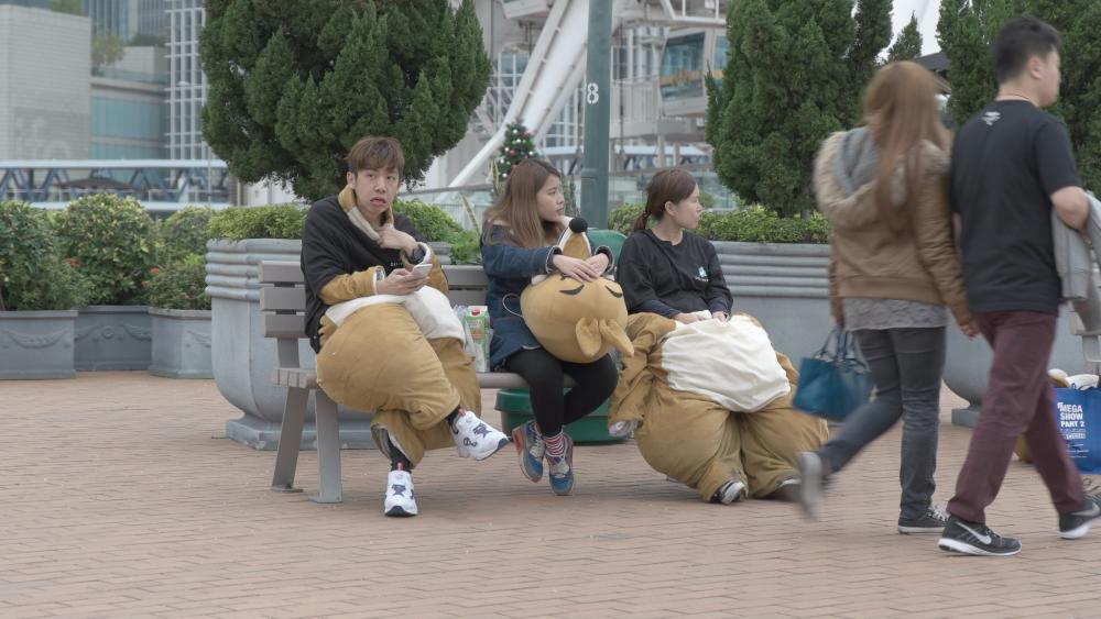 01a.thumb.jpg.658b7c5e3aee19b2b46609c0c2