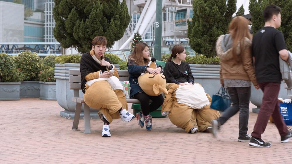 01b.thumb.jpg.00ce8e9c92e53c28cfd5c91f9f