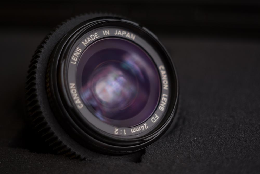 2W9A2939.thumb.jpg.6717ae95abda22b3273a7