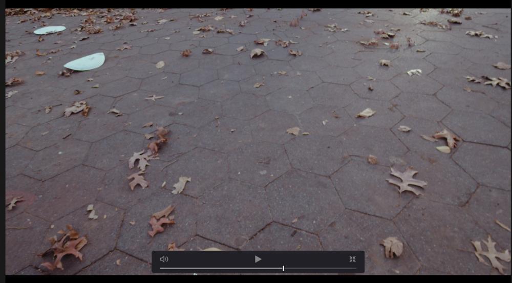 Blackmagic DaVinci ResolveScreenSnapz138.jpg