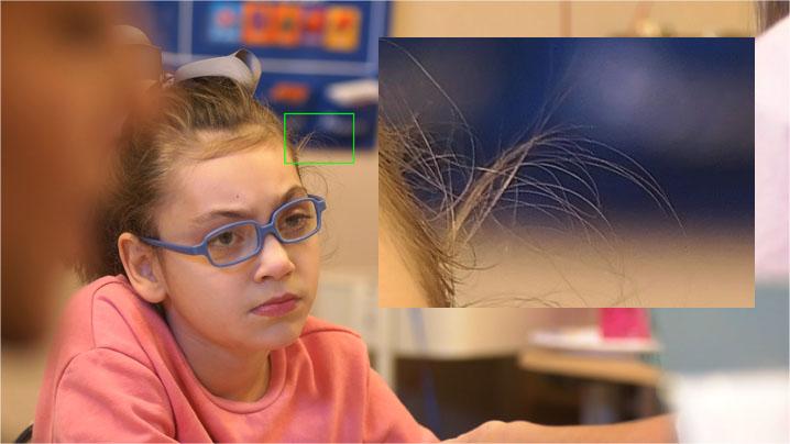 detail-area.thumb.jpg.3e2ee467ffd9de9a3a