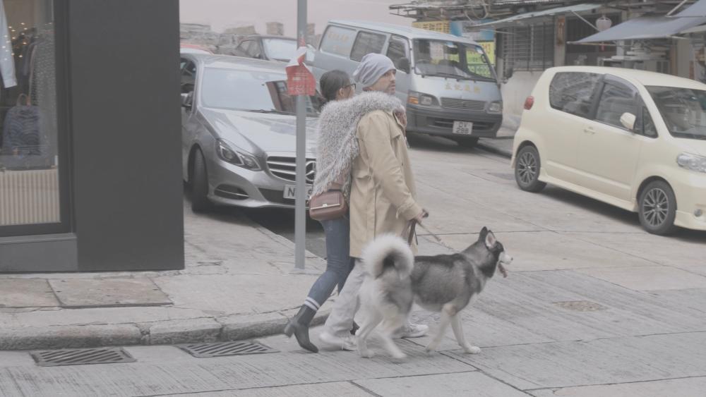 01a.thumb.jpg.01b5ca260603bd4e81dfeb6b63