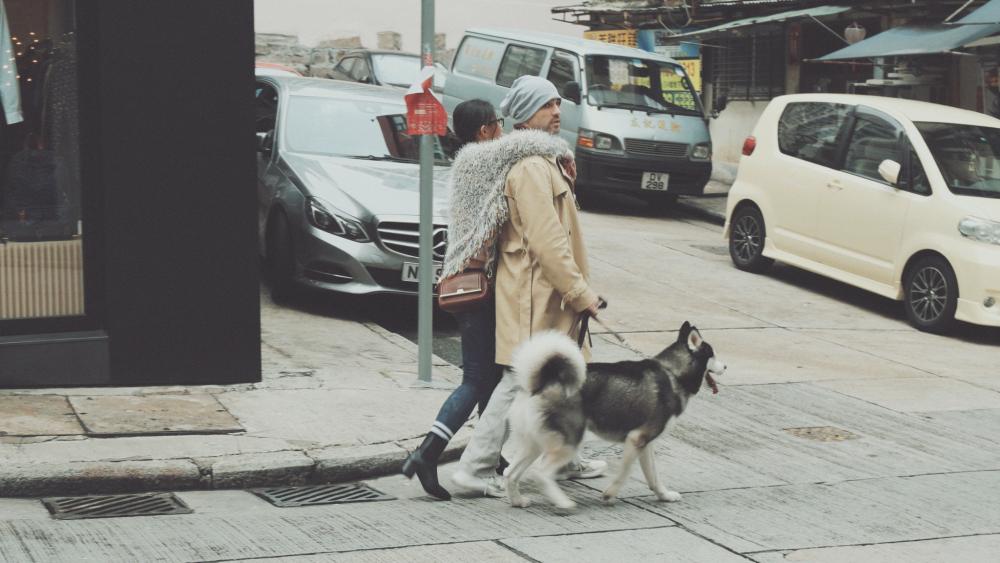 01b.thumb.jpg.c8dcebbda999d963edc717d692