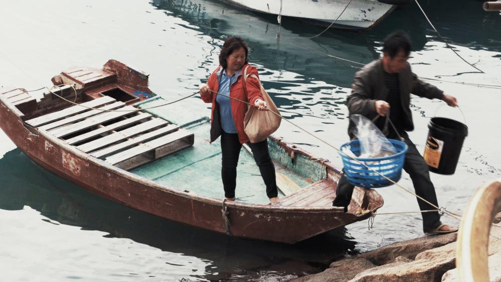 04a.thumb.jpg.15c57493bae1d891005a57a3e7