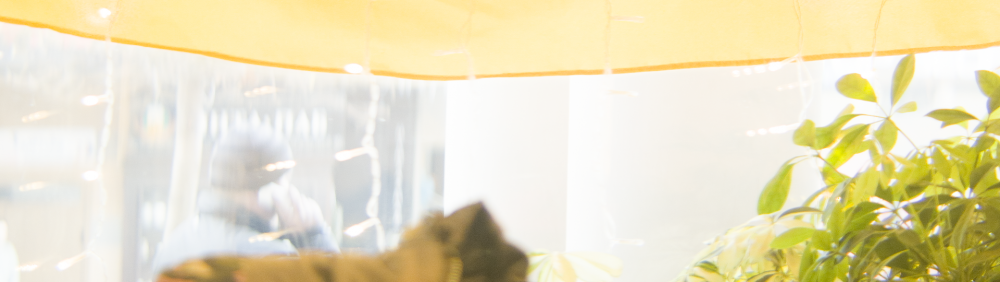 Blackmagic Pocket Cinema Camera_1_2016-01-07_1009_C0002_013549.png