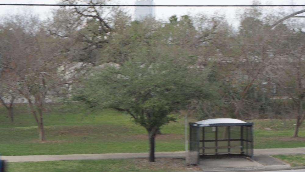 Firm2TreesMov.thumb.jpg.625daed77ab1d4cb