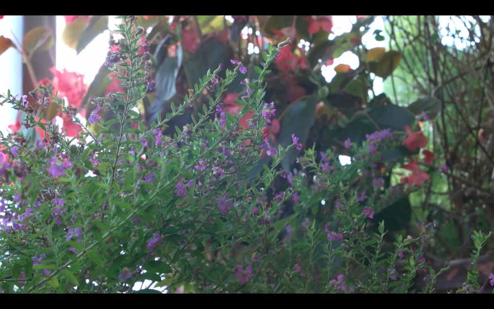 Screen Shot 2016-01-11 at 6.02.13 PM.png