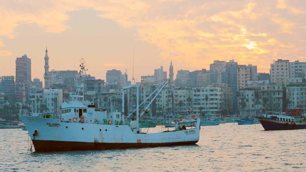 Image0.thumb.jpg.d62f52fc0923c03942d3ad5