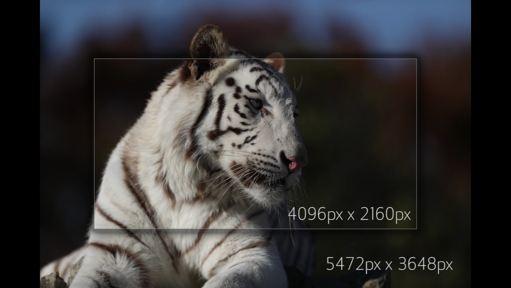 Screen_Shot_2016-02-02_at_12.12.46_AM.th