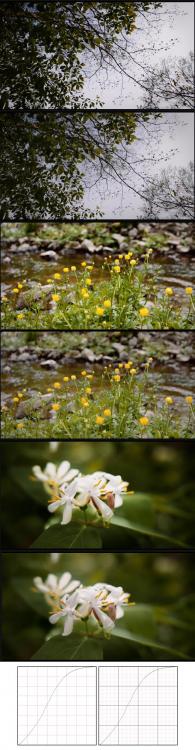 natural_curve.thumb.jpg.5a4b95eb87b09f01