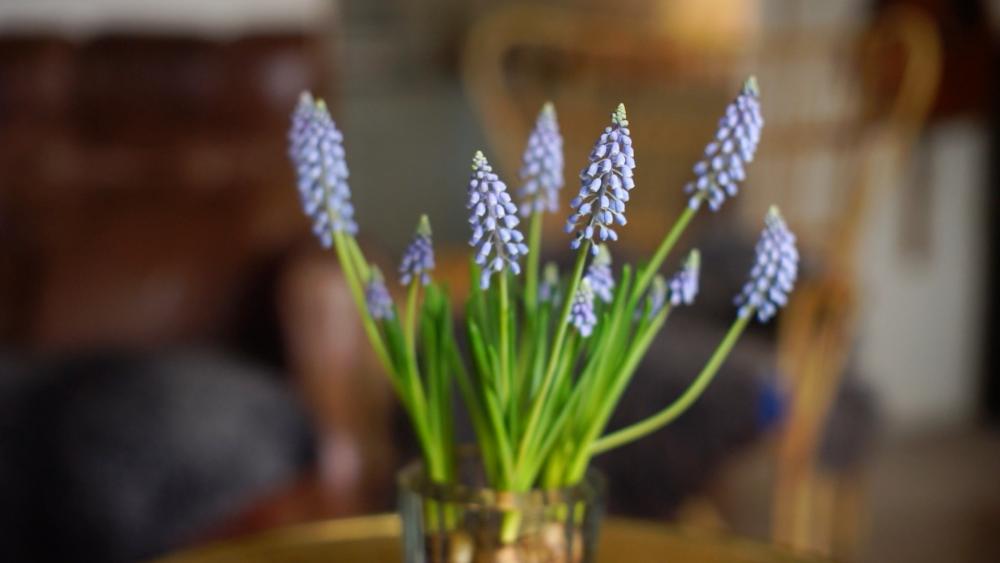 Test.thumb.jpg.87406e565329de85cb6915659