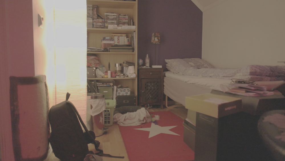 SAM_1195 - 160mbps [1600ISO] - GammaDR2LOG.png