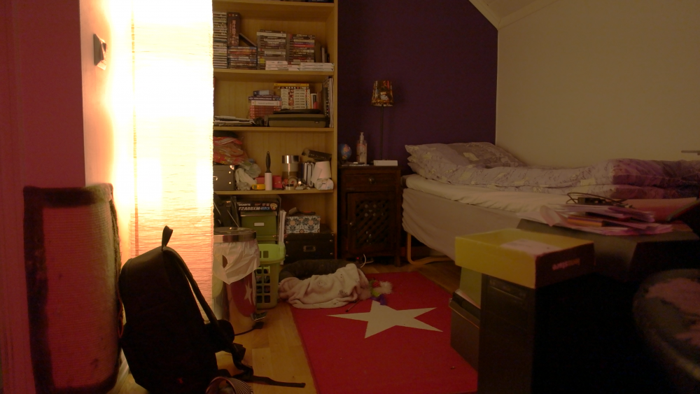 SAM_1195 - 160mbps [1600ISO] CLEAN.png