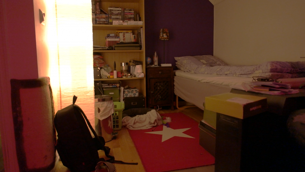 SAM_1207 - 80mbps [1600ISO] CLEAN.png