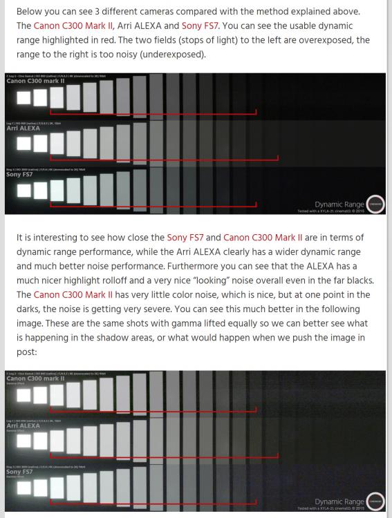 C300 II Xyla Cinema5D.jpg