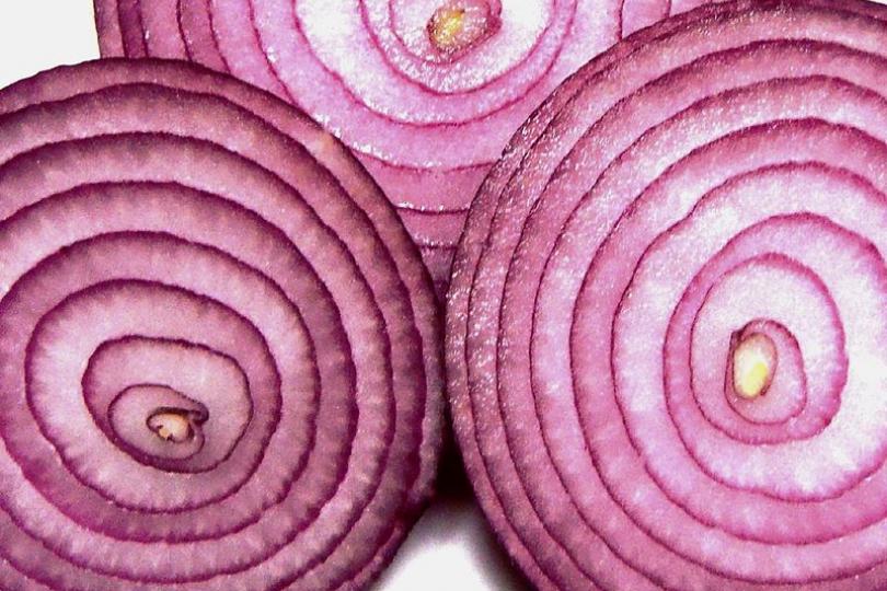 purple-onion-tor.jpg
