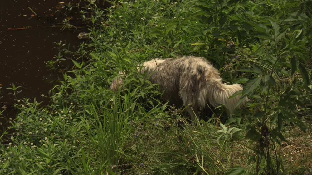 Screen Shot 2016-05-27 at 10.30.08 AM.png