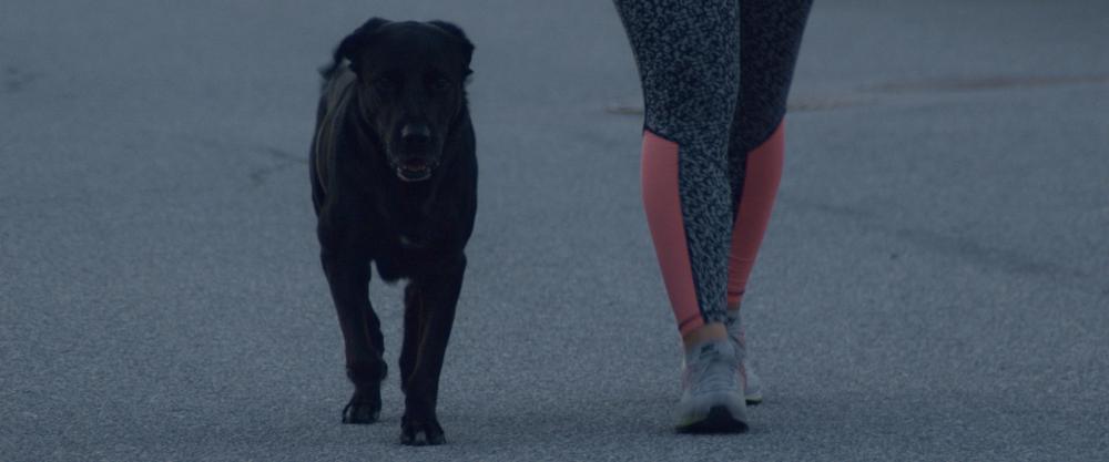 Timeline 100090008.jpeg