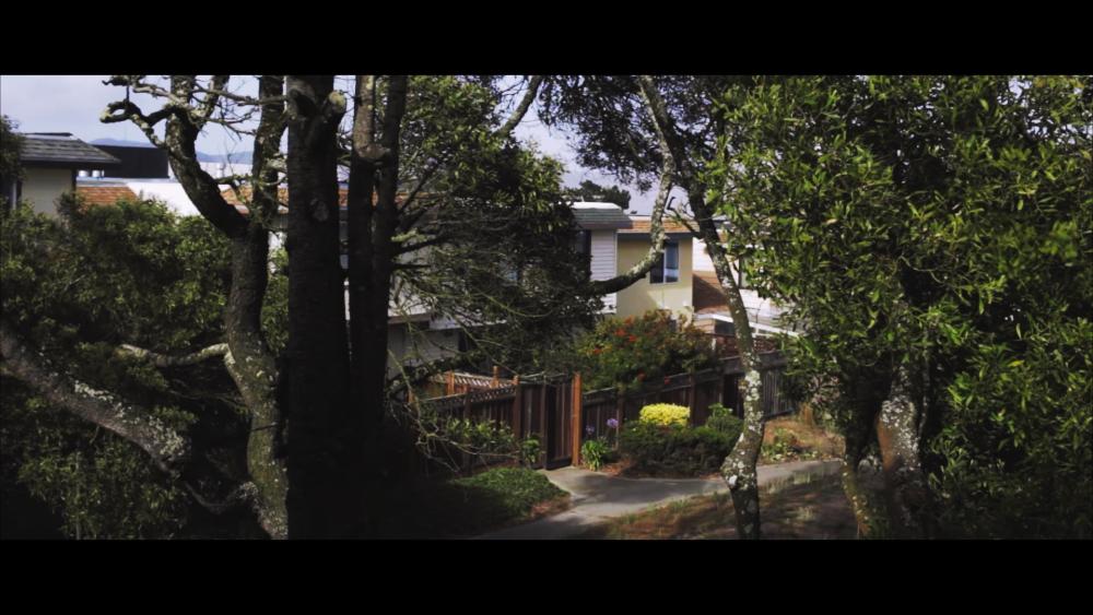 trees grade00086401.jpg