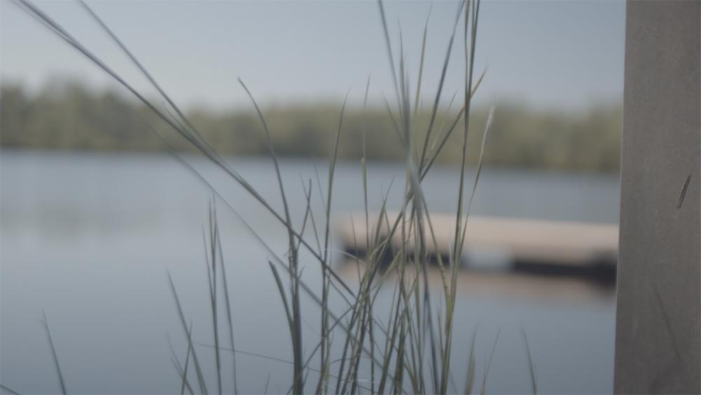 50D Raw - Atsion - No LUT.jpg