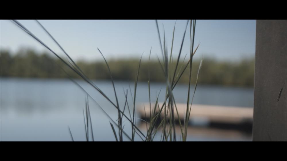 50D Raw - Atsion - CineLut3 - Grade.jpg