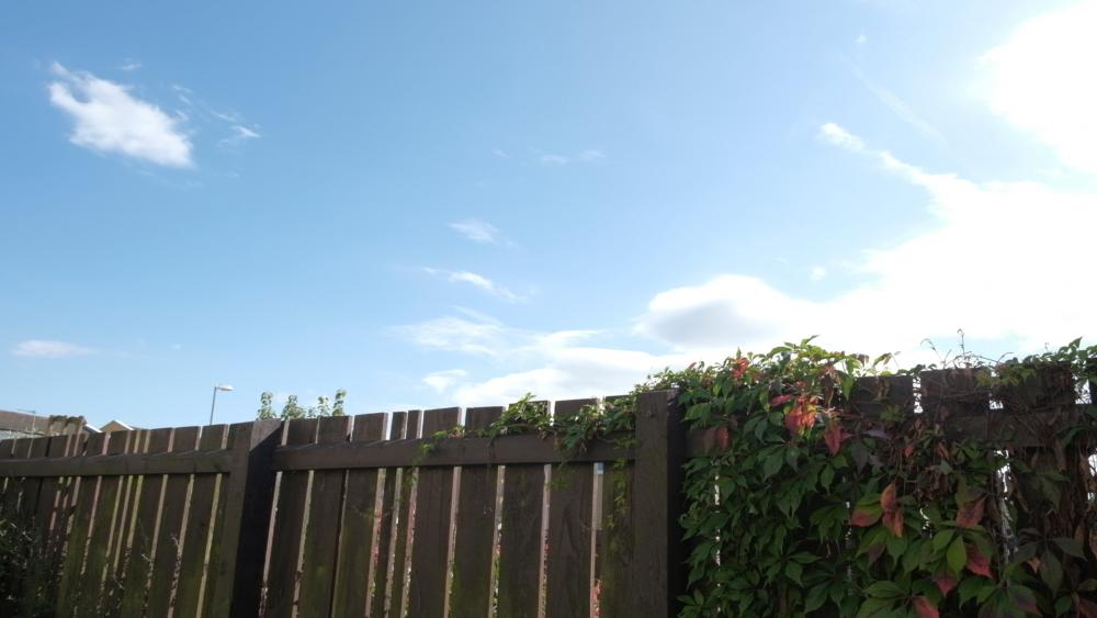 Scene 1 - Fuji +1 stop.jpg