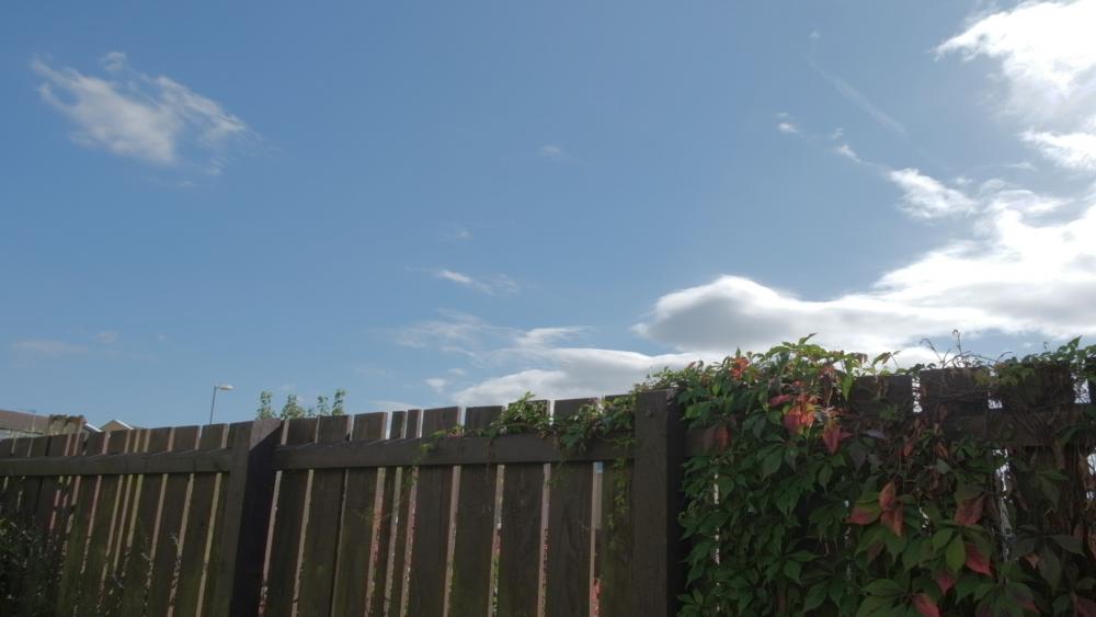 Scene 1 - Fuji - Contrast Decreased.jpg