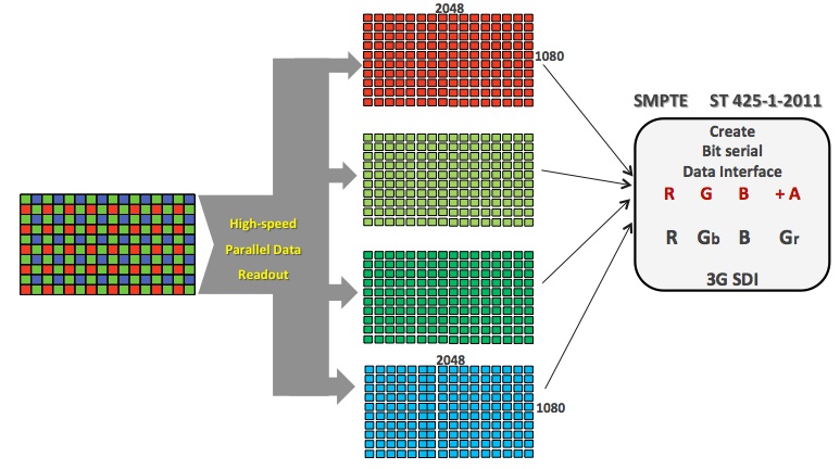 Canon C500 3G-SDI - 4x 2K Data Streams.jpg