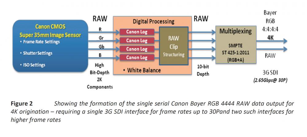 Canon RAW processing chain.jpg