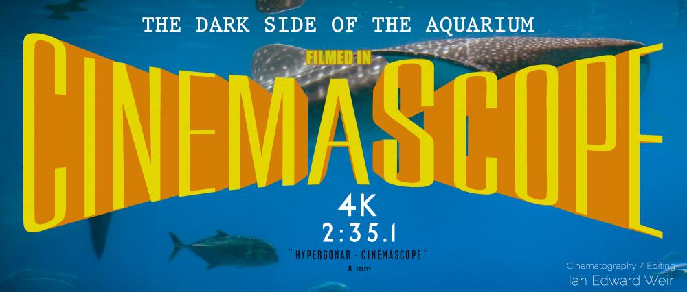CINEMASCOPE PICTURES.jpg