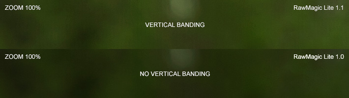 vertical_banding.jpg